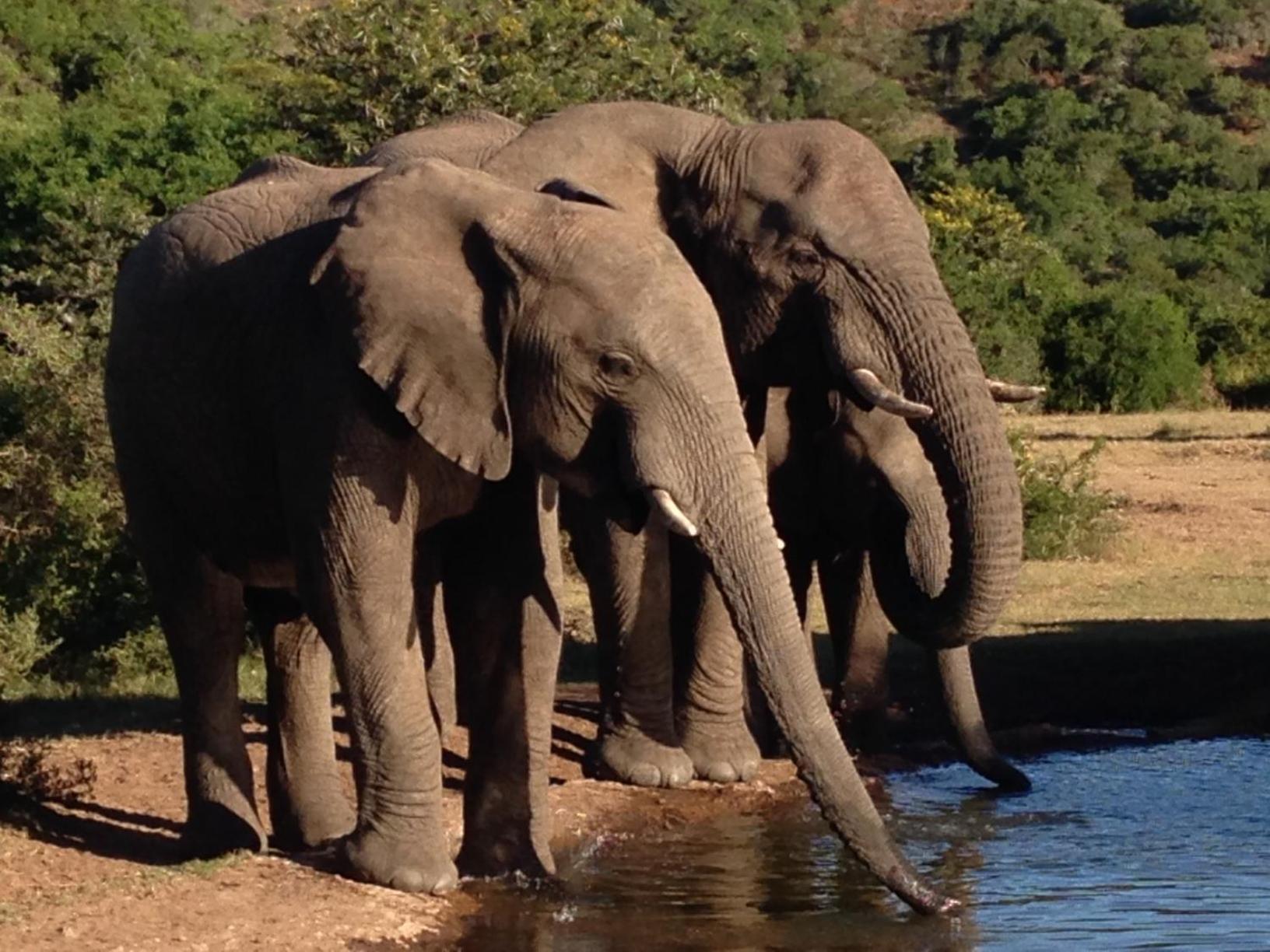 Hopewell Private Game Reserve Buyskloof Exterior foto