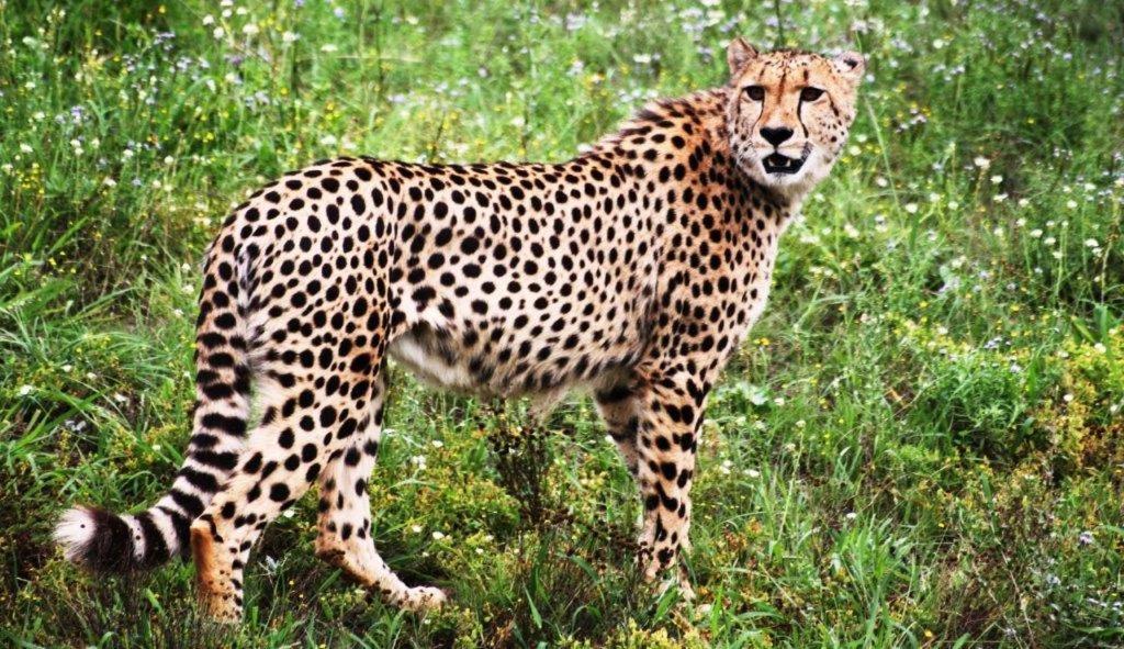 Hopewell Private Game Reserve Buyskloof Exterior foto